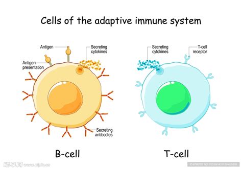 生物细胞矢量设计图__广告设计_广告设计_设计图库_昵图网nipic.com