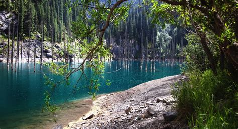 Kaindy Lake the Enchanted Forest | Faena