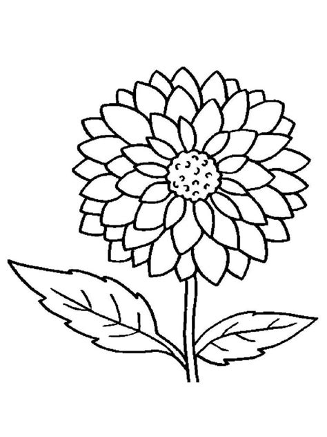 Beautiful Flower Flower Coloring Pages Printable - Lautigamu