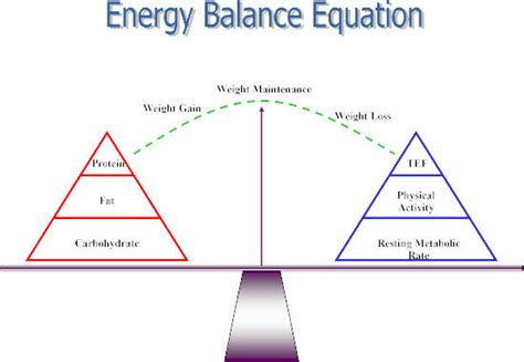 THE DIFFERENCE BETWEEN A CALORIE DEFICIT, BASELINE & SURPLUS