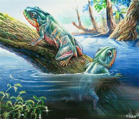 Mesozoic Era Animals List: Animals That Lived In The Mesozoic Era