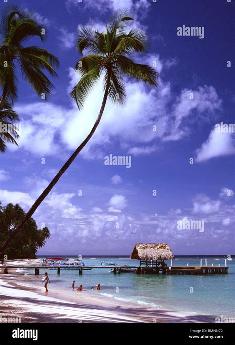 Tobago, Pigeon Point Stock Photo - Alamy