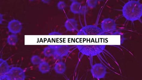 Japanese Encephalitis | PPT