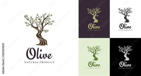 Elegant olive tree isolated icon. Creative olive tree silhouette. Logo ...