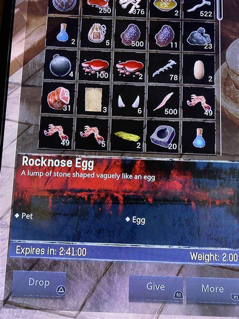 How to hatch rocknose egg - Players Helping Players - Funcom Forums