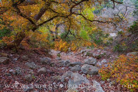 Lost Maples Fall Colors 1120-1 | Lost Maples State Natural Area ...