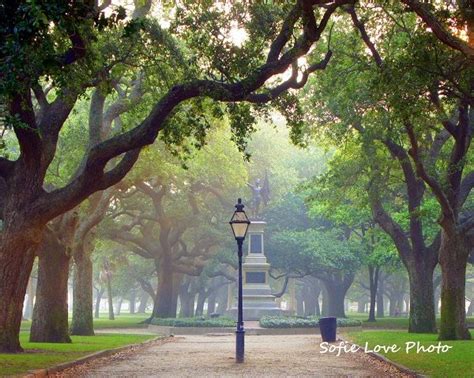 Battery Park Charleston SC 5 X 7 Print | Etsy | Charleston travel, Charleston vacation, Charleston