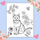 Cute Kitty Coloring Pages For Kids Free Printable sketch template