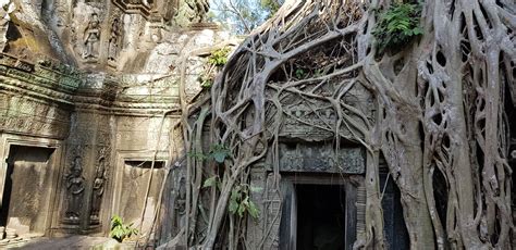 Ta Prohm (Tomb Raider) Temple, Cambodia | Flickr