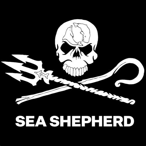 Sea Shepherd España - YouTube