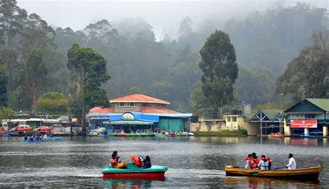 10 Must-Visit Tourist Places in Kodaikanal - lifeberrys.com