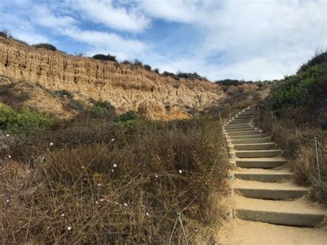 13 Torrey Pines Hiking Trails Hacks - A Piece of Travel