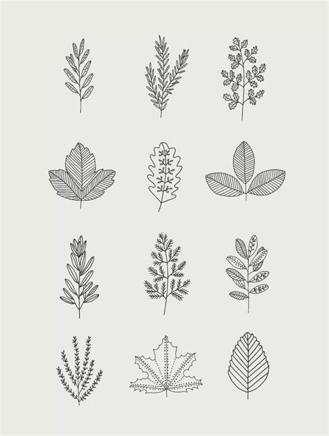 30 Ways to Draw Plants & Leaves