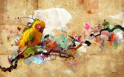 Colorful Sun Parakeet HD Wallpaper by xyphid