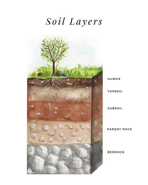 Soil Layers - Printable Poster – Brighter Day Press Soil Conservation ...