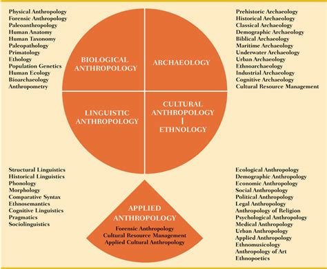 Anthropology: The Four Subfields