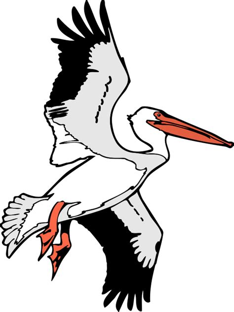 flying pelican clipart 10 free Cliparts | Download images on Clipground 2024