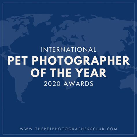 International Pet Photographer of the Year Contest | 2020 - Daily Dog Tag