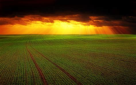 Agriculture 4k Wallpapers - Wallpaper Cave