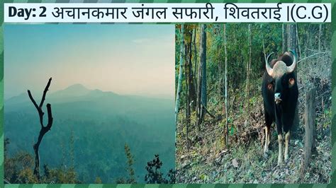 Achanakmar Jungle Safari | Achanakmar Wildlife Sanctuary | बैगा रिसोर्ट, शिवतराई | Chhattisgarh ...