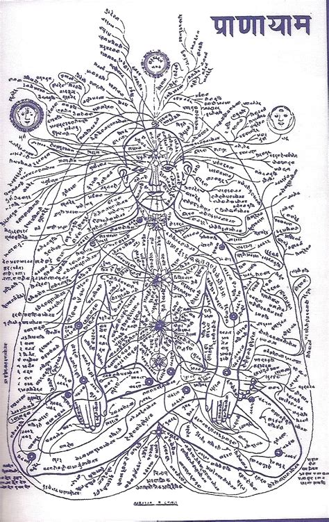 Subtle Anatomy, description of the nadis of man