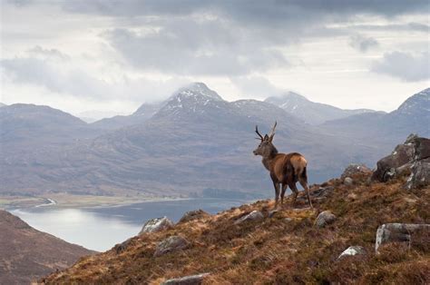 Hugh Munro: The Man Who Gave His Name to 282 Mountains in Scotland