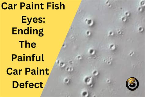 Fish Eyes: Ending The Painful Car Paint Defect - Sleek Auto Paint