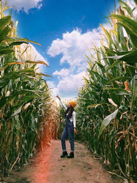 Get Lost in the Corn Maze