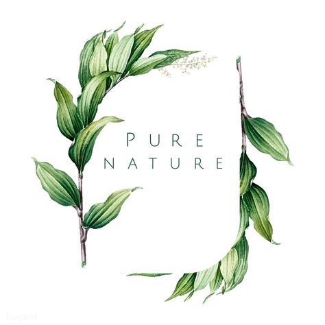 Pure nature logo design vector | free image by rawpixel.com / busbus | Natural logo, Nature logo ...