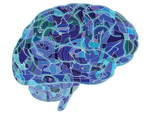 Cognitive neuroscience, metaphor and pictures: part 2 | Pocketmags.com