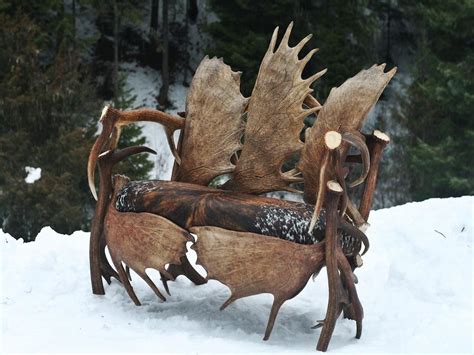 Moose Antler Light Fixtures | Light Fixtures Design Ideas | Antler lights, Antlers decor, Deer ...