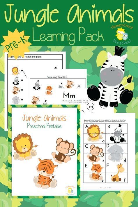 Teach Preschool with Free Jungle Animal Printables | Jungle animals preschool, Preschool jungle ...