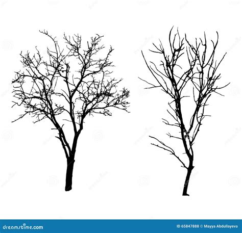 Winter Tree Silhouette Vector