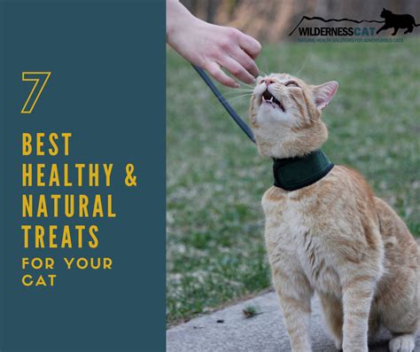 7 Best Healthy Cat Treats - Natural Treats for Cats - Wildernesscat