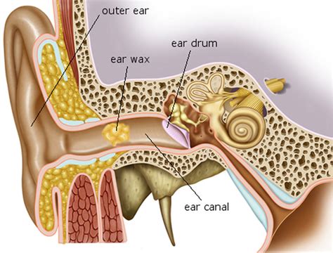 Ear Wax Blockage - Causes, Symptoms, How to Remove Ear Wax