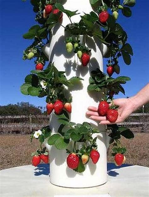 Hydroponic Pots Vertical Tower Vegetables Strawberry Growing System ...