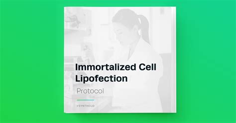 Immortalized Cell Lipofection Protocol