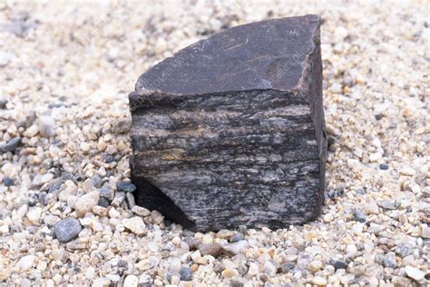 Shale - Stock Image - C004/7955 - Science Photo Library