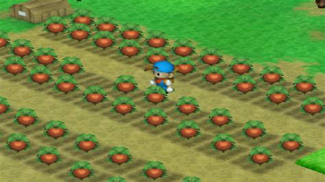 Best Way to Plant Crops in Harvest Moon: Back to Nature GamerZenith