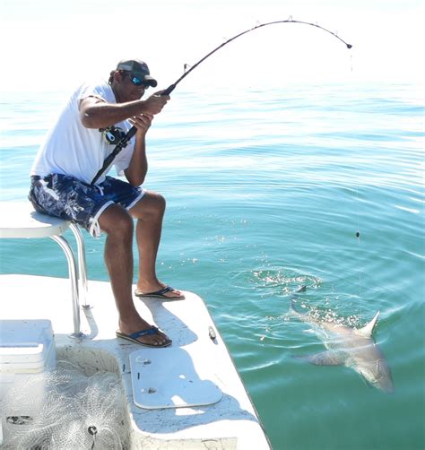 shark | Fishing with Santa Rosa Charters