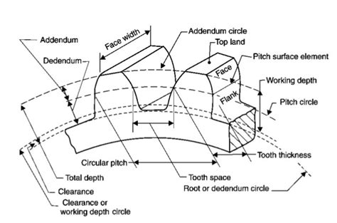 Gear Terminology ( Terms Used In Gear ) - Mechanical-Master