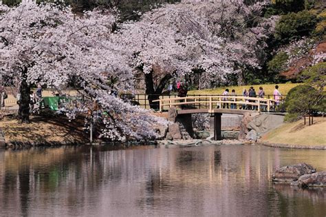 Koishikawa Korakuen: Traditional Japanese Garden in Tokyo - Japan Web ...