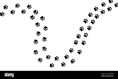 Paw trail of animal cat or dog print pattern footpath. Print paw ...