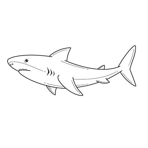 Free Vector | Hand drawn shark outline illustration