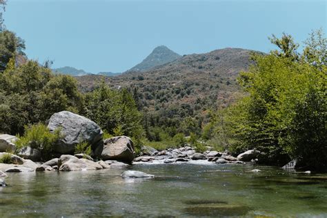 Boulders and Bushes by Lake in National Park · Free Stock Photo