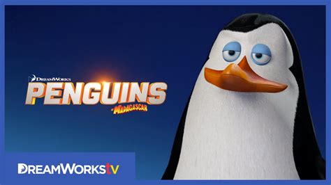 Meet Kowalski | PENGUINS OF MADAGASCAR - YouTube