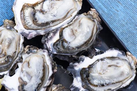 Closeup of Fresh Shucked Oysters. Stock Image - Image of delicious, tasty: 126488985