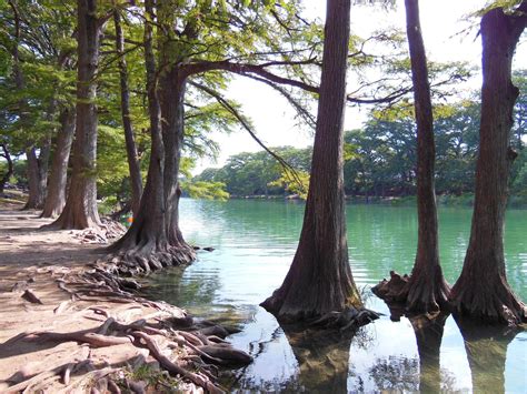 [OC] Frio River in Garner State Park. TX, USA [3264x2448] : EarthPorn