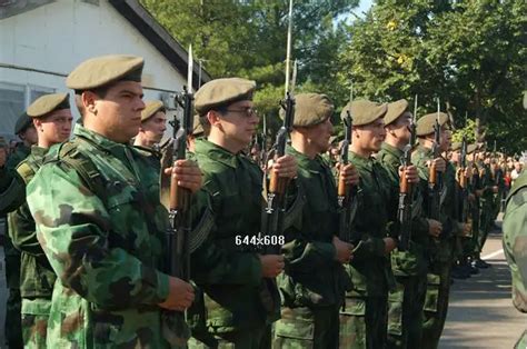 Serbia Serbian Army ranks land ground forces field combat uniforms ...