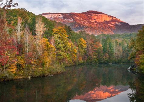 South Carolina Fall Foliage 2024 - Rove.me